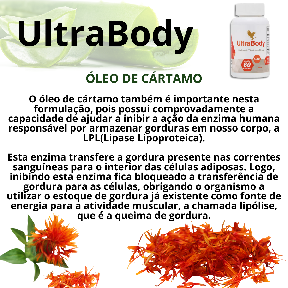 Forever Ultra Body - Suplemento Vitamínico e Mineral - Imagem 4
