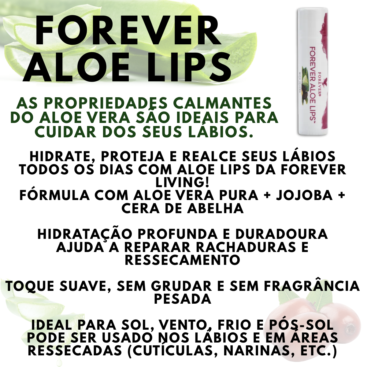 Lips Aloe Vera Forever Com Jojoba Labios Ressecados Hidratante - Imagem 2