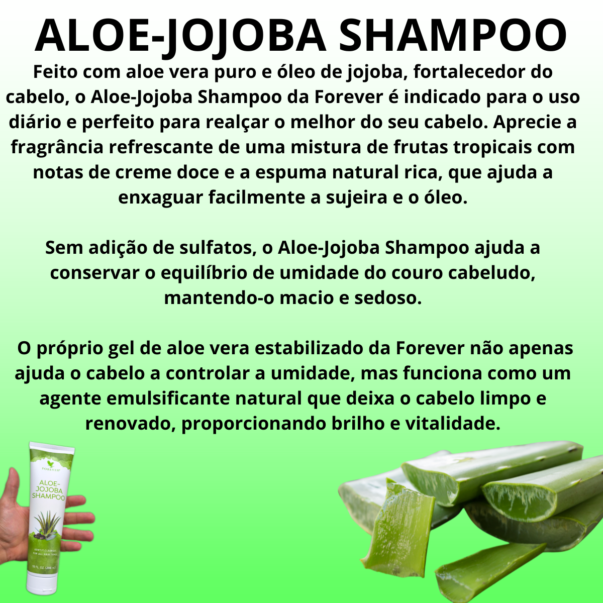 Aloe-Jojoba Shampoo Aloe Vera Forever Living Todos Cabelos - Imagem 4