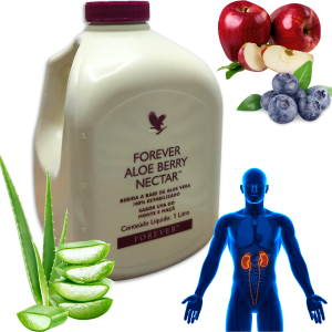 Forever Aloe Berry Nectar Suco Cramberry e Maçã Vegano